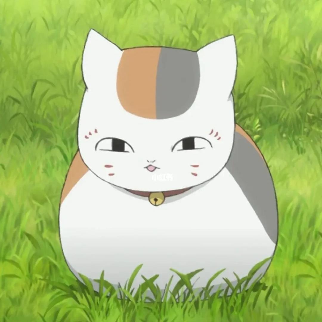 夏日天天