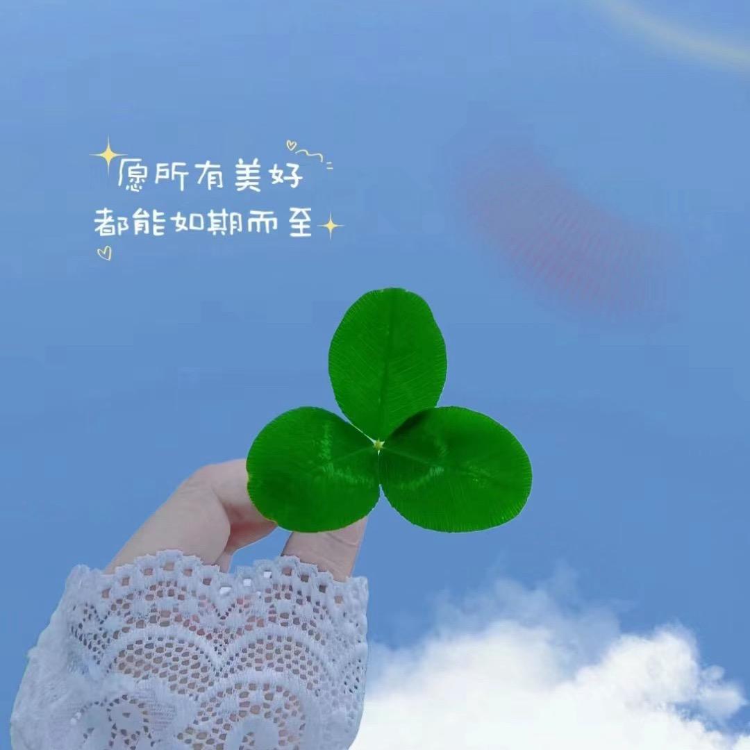 甜甜曦