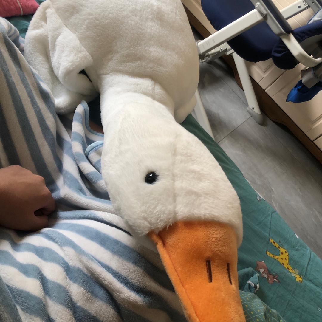 y: