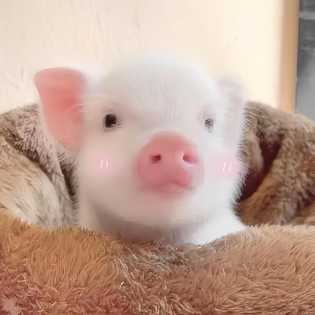 你总是这样