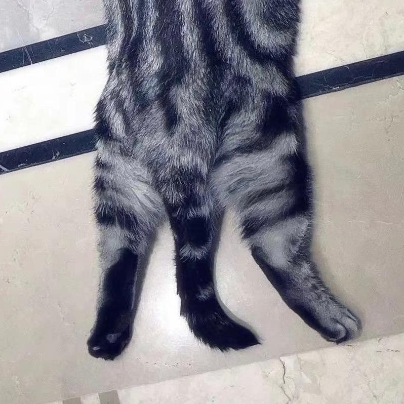 (ෆ ͒•∘̬• ͒)◞