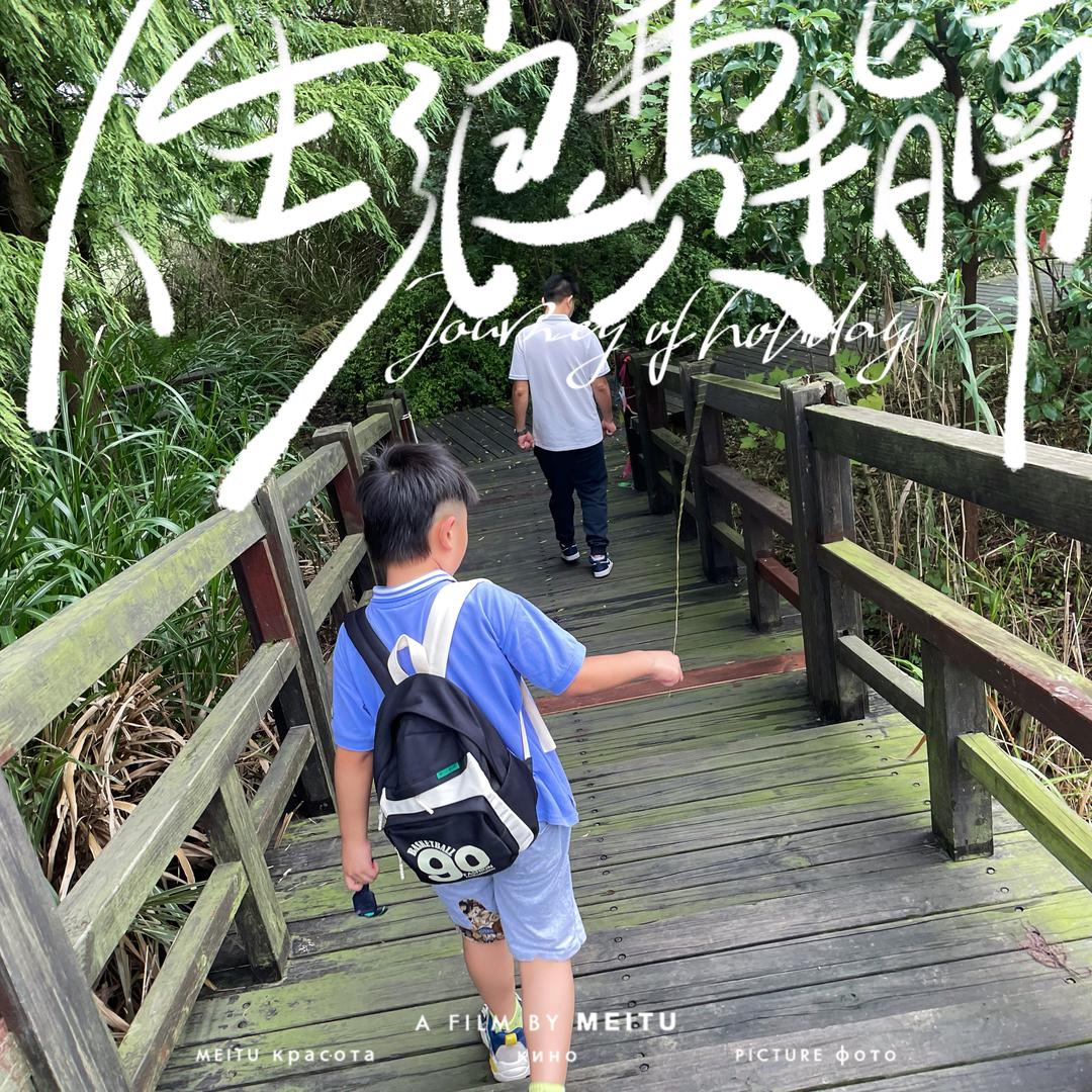 肖肖