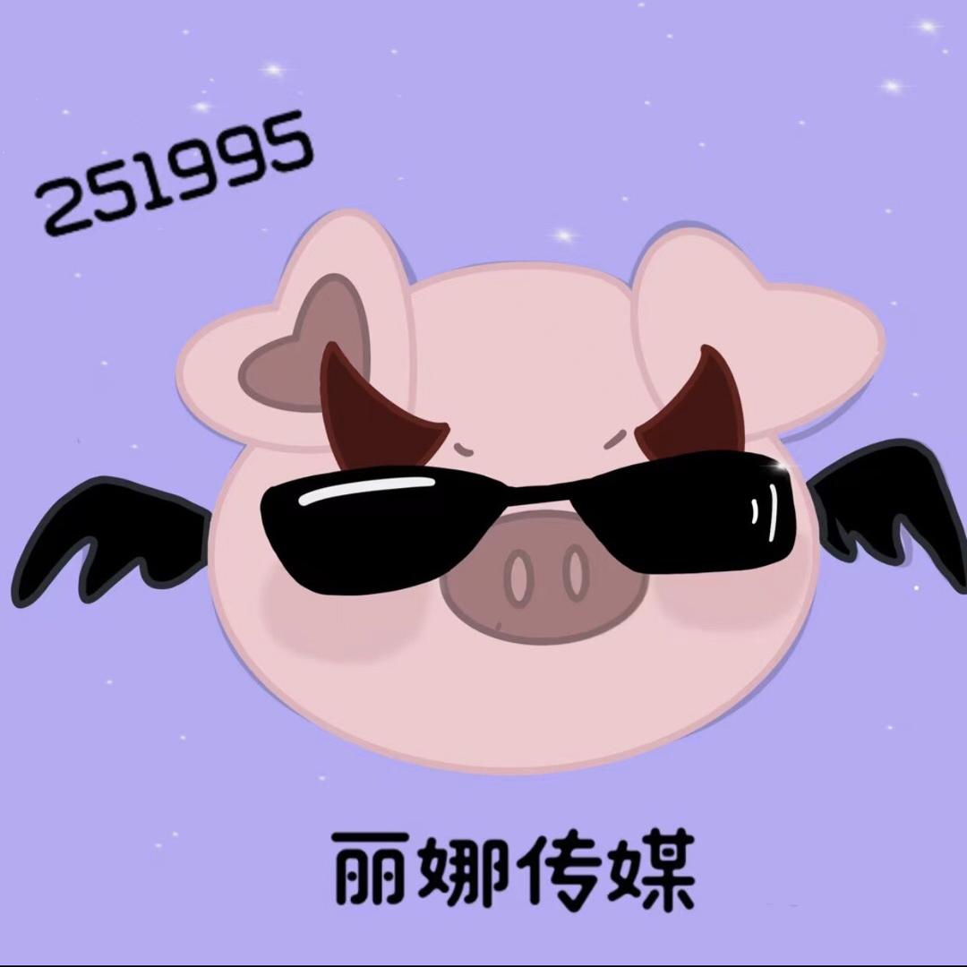 组织猪丽娜传媒【1995】