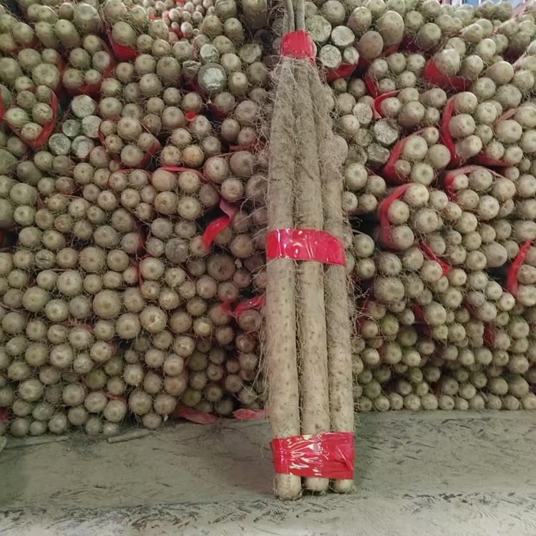 : 🚬༺信命ꦿ不认命༻