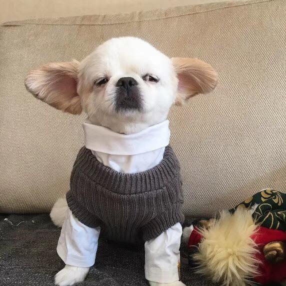 iiii