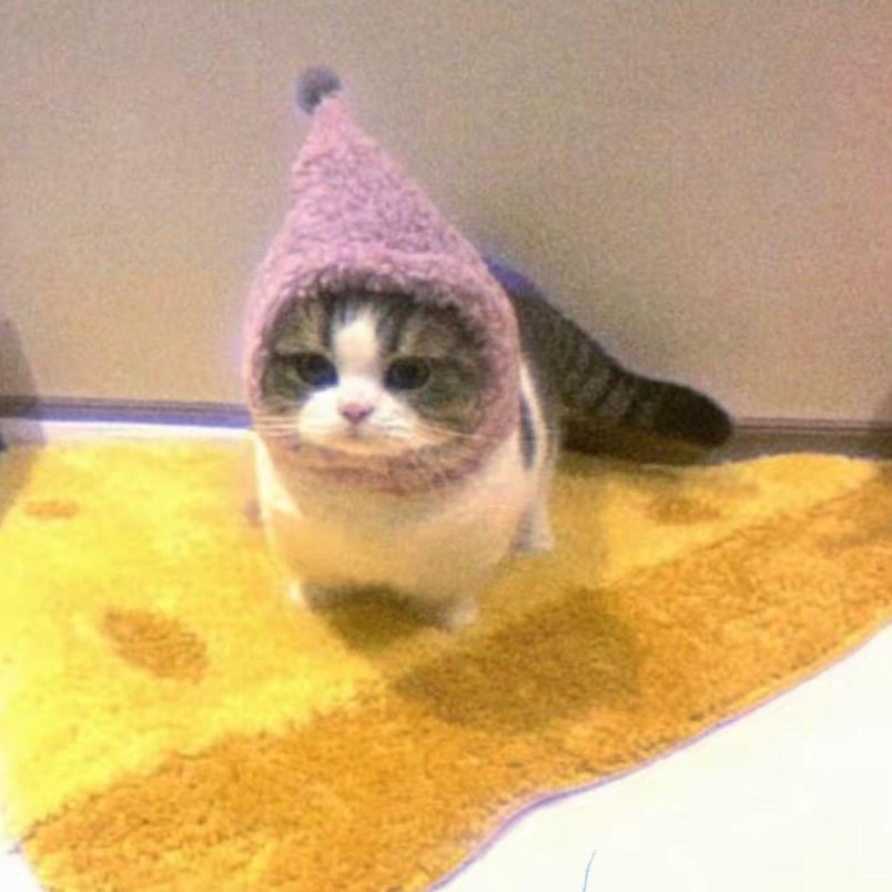 今天没吃饱ಥ_ಥ