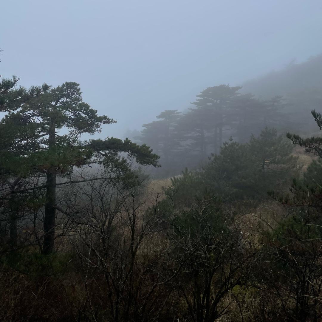 小明同学