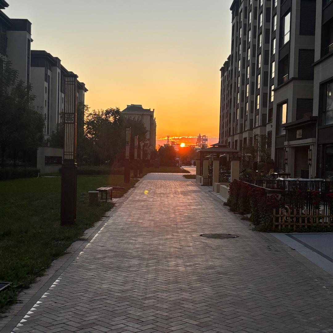 甜美契约人季景洲头像