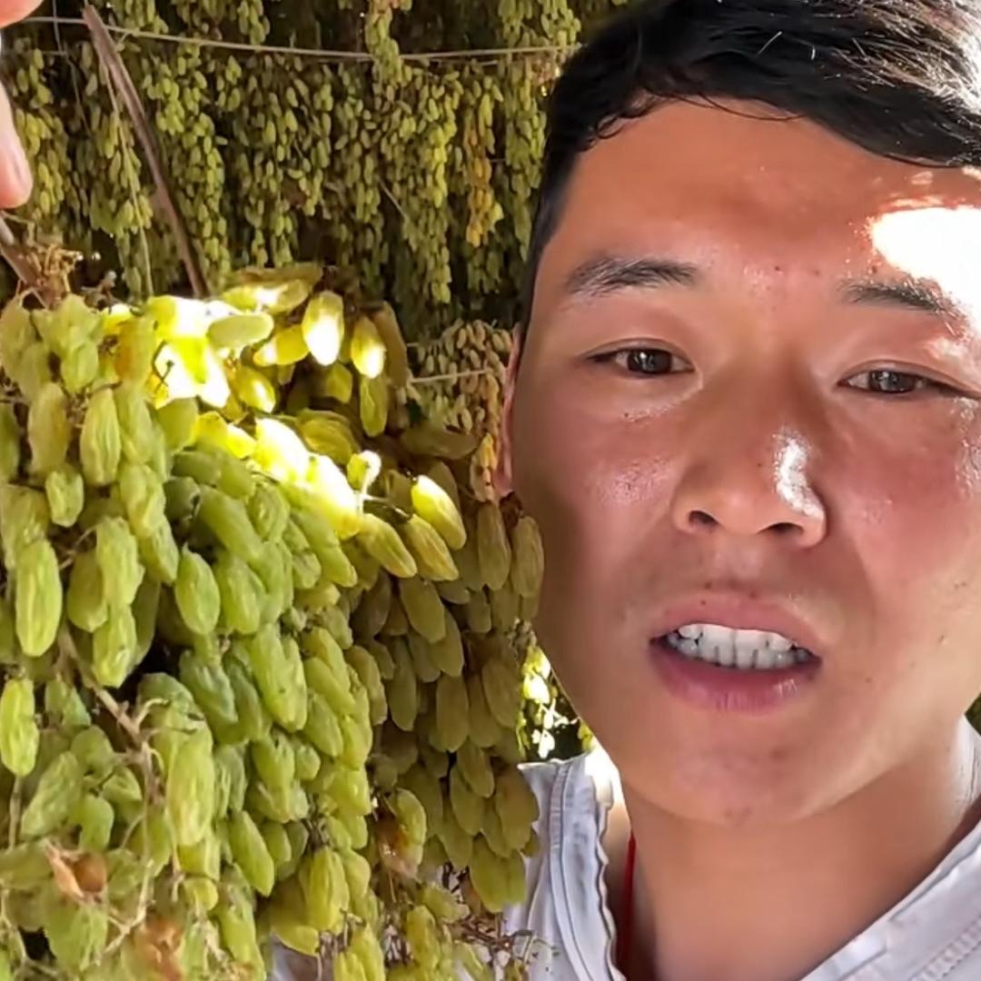 八十（👀橱窗）