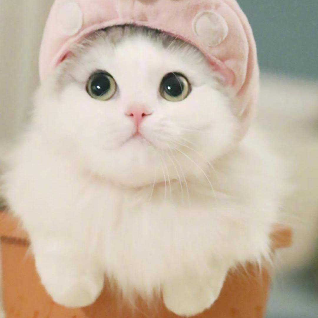 李