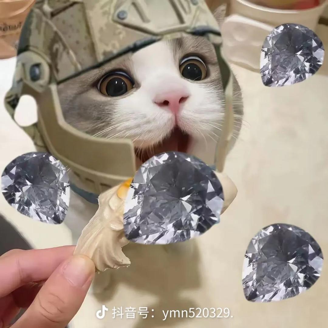 小只因（三角洲行动）