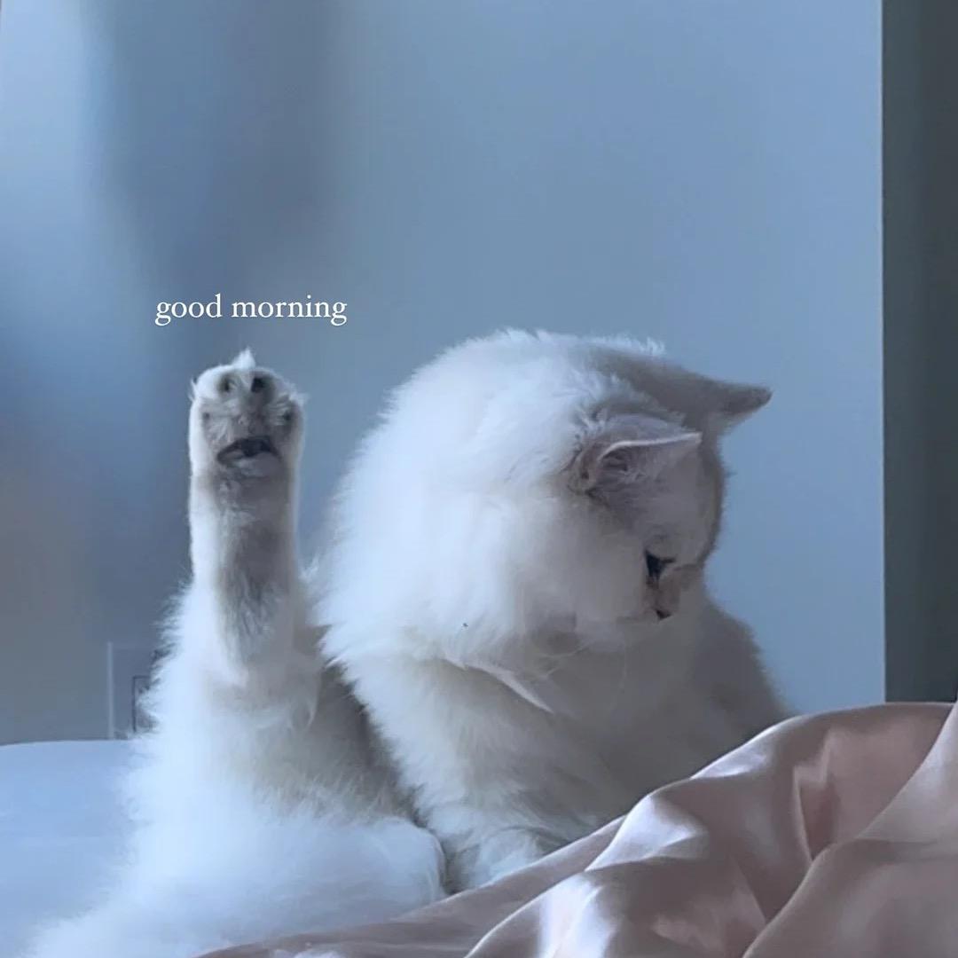ikkko_🧸