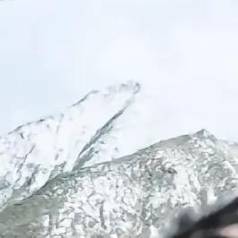 好哦此举