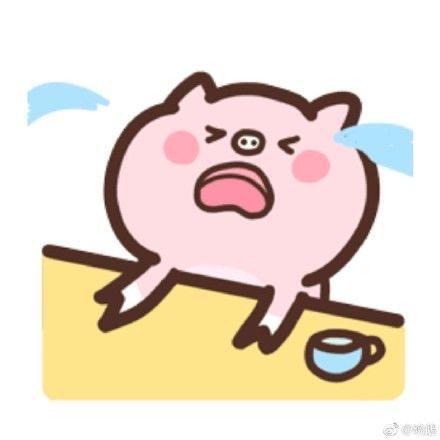 北菟菟