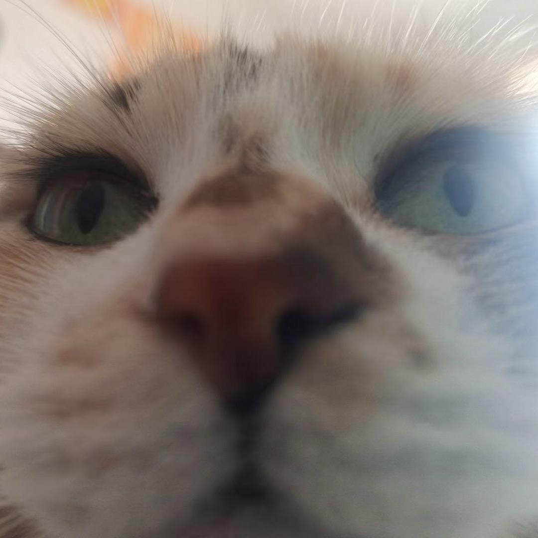 睡不醒的汤同学