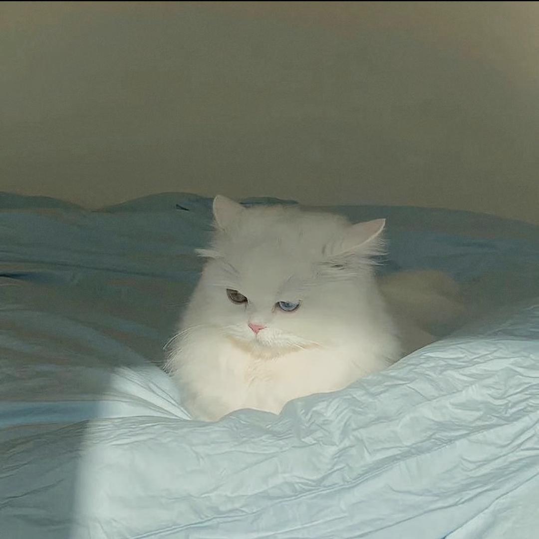 醒醒