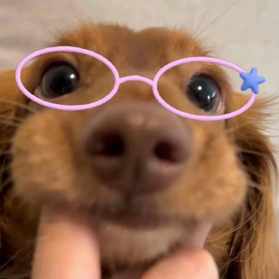 Zyyy