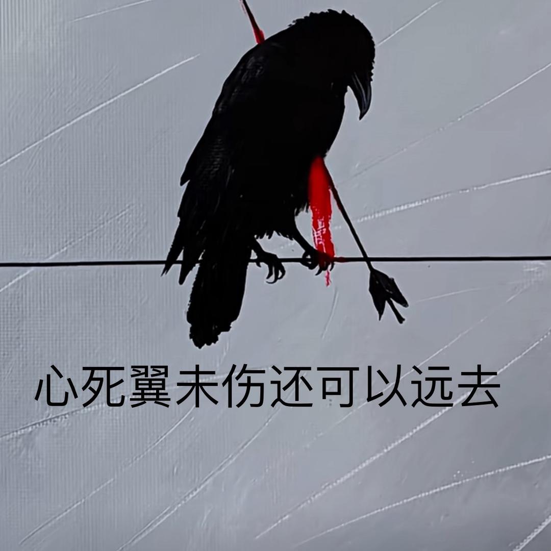 中年油腻大叔