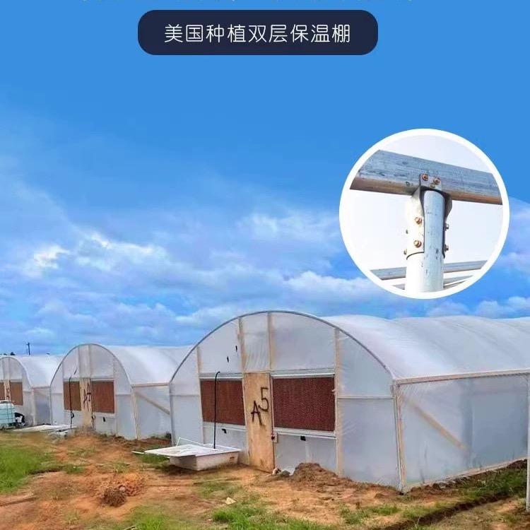 前程温室大棚厂家