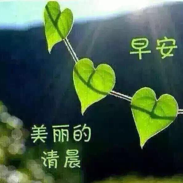 清晨