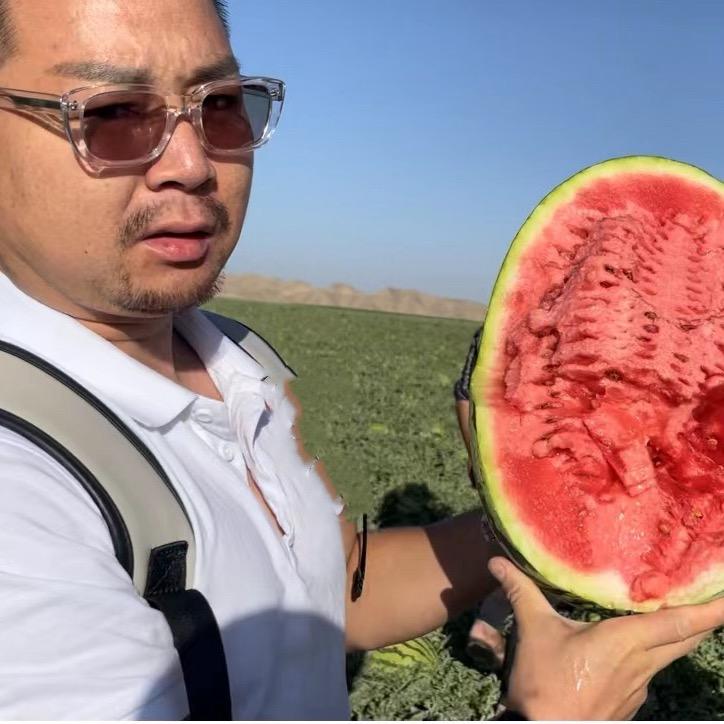 四川（凤强哥）水果大吨位批发