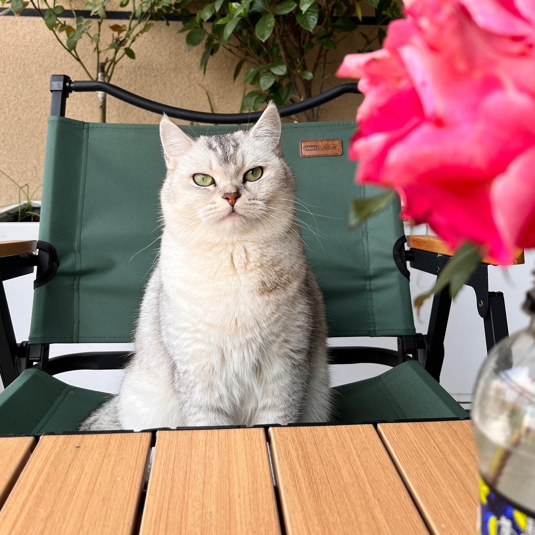寵物羴舖🐾 品質優選