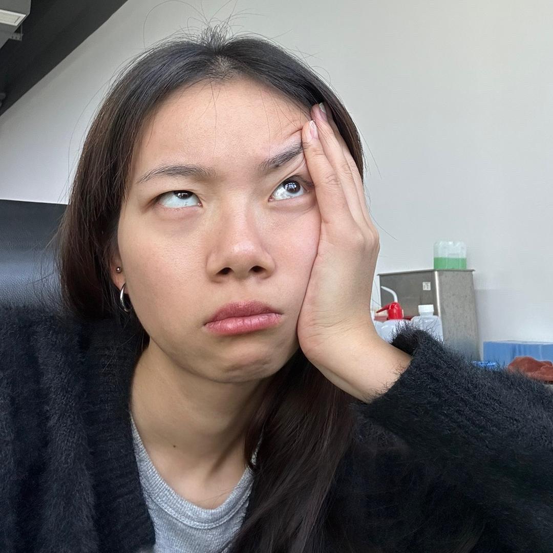 龙宝