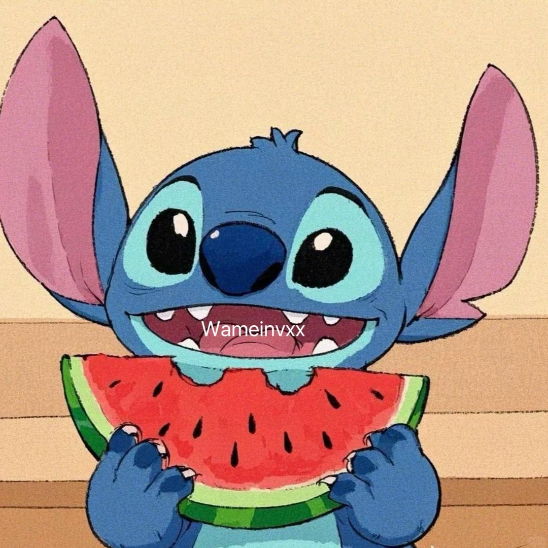 摄影仔史迪奇📷