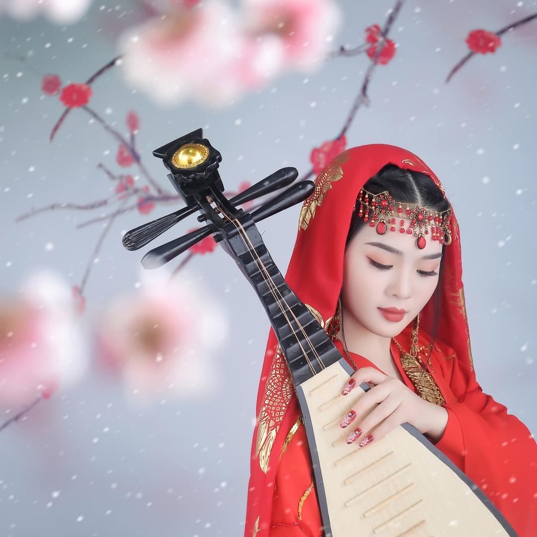 樱桃小丸子🧚‍♀️