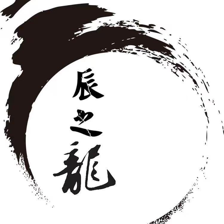 陀螺跨境teme半托pod