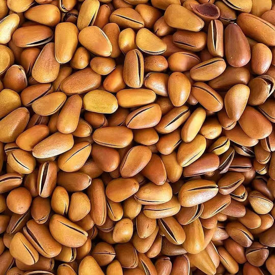 天津干果批发零售（互关）💥