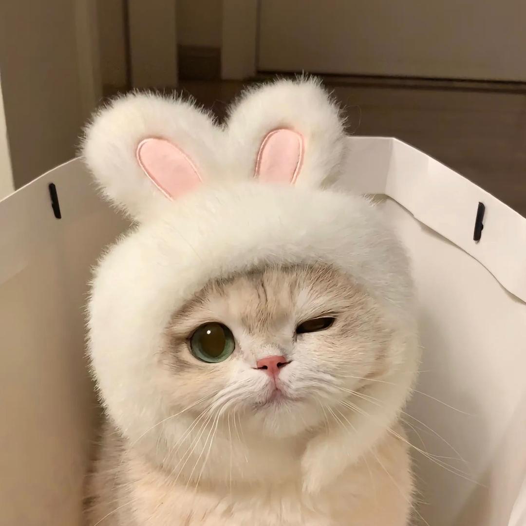 汤圆万事屋