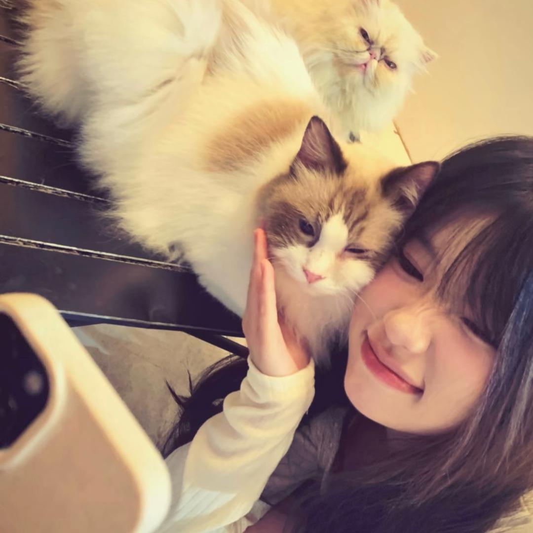 小小蟹黄堡