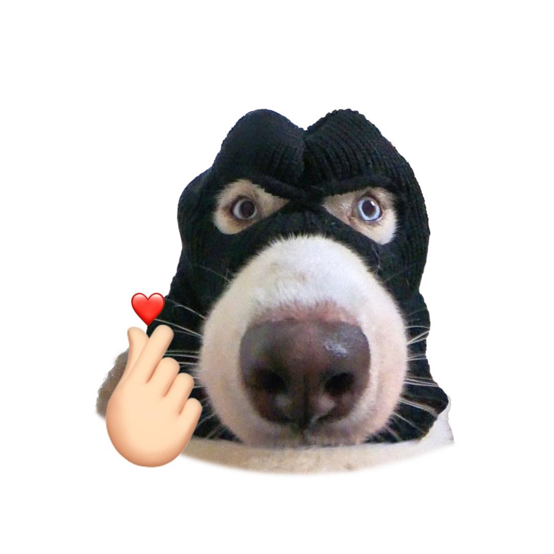 不想内卷（有关必回）