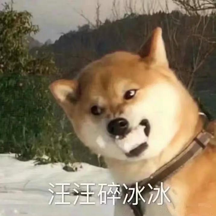 阿🐶🐶