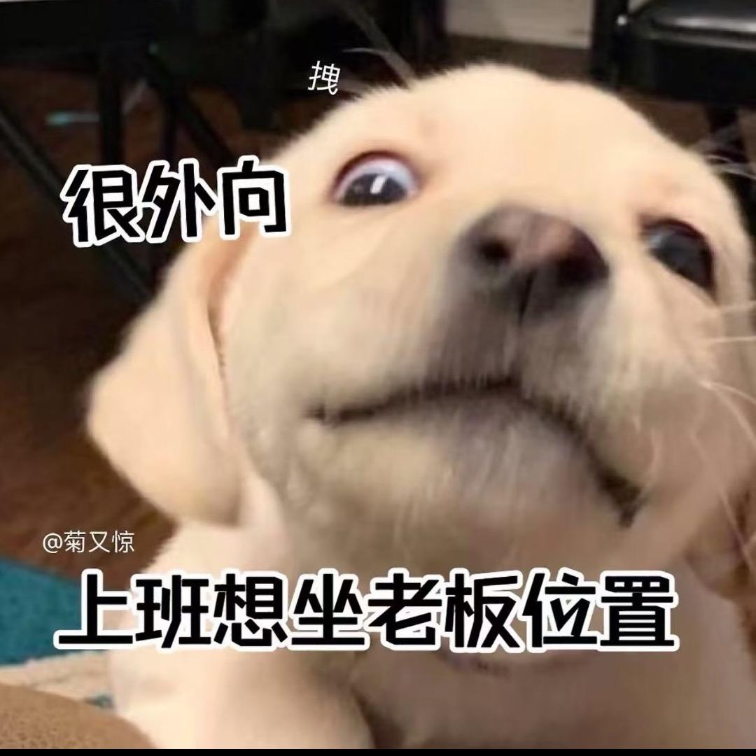 🫣