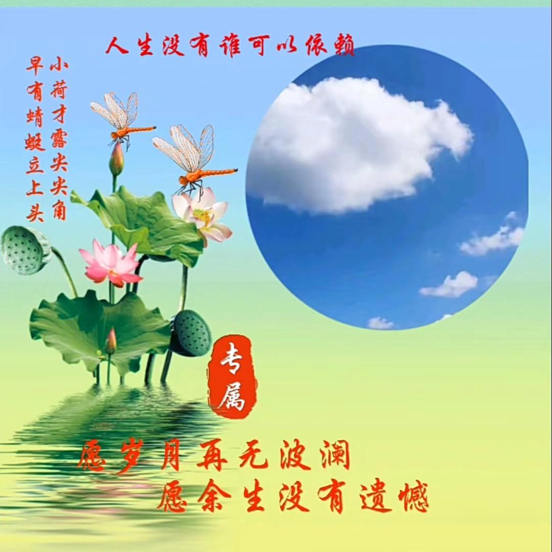 人生没有谁可以依赖