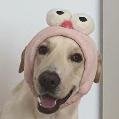 芒果忙不忙（热情版）