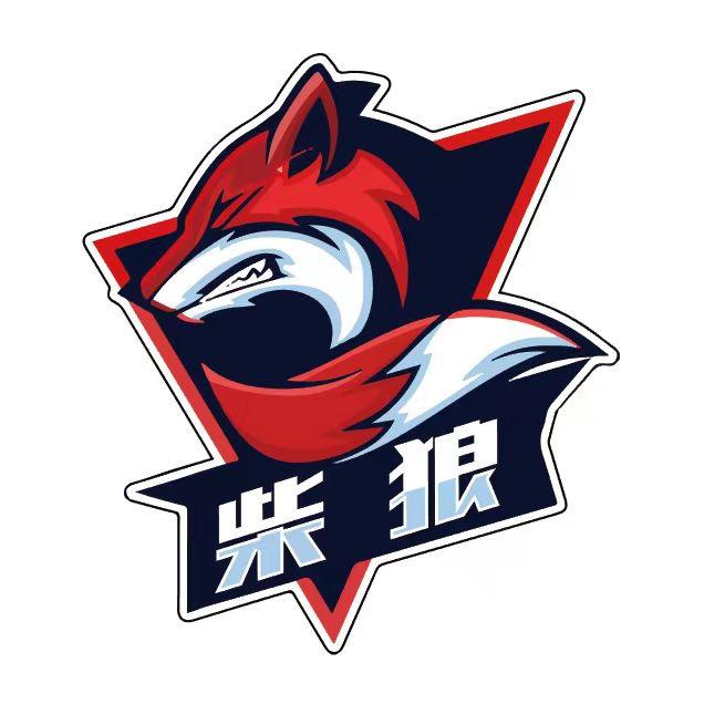 柴狼洗车机