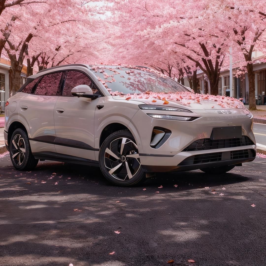 小白的新海狮06