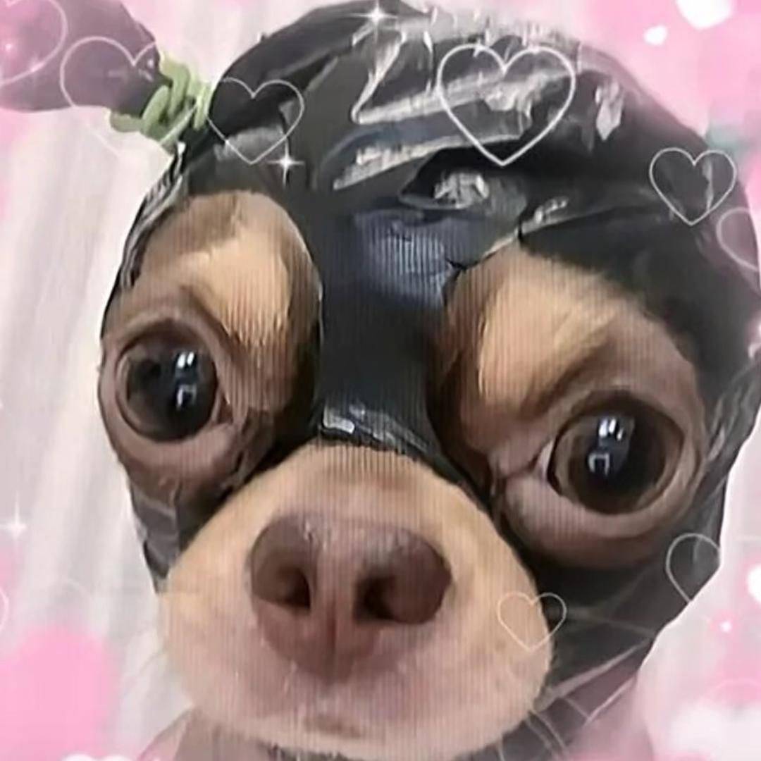 米麻薯.