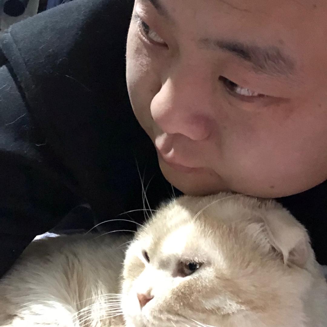 刀哥