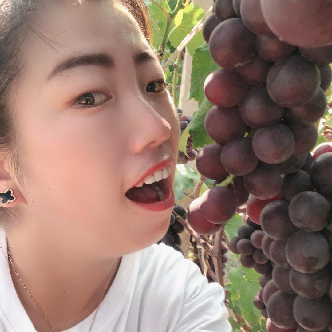 洋洋🤗