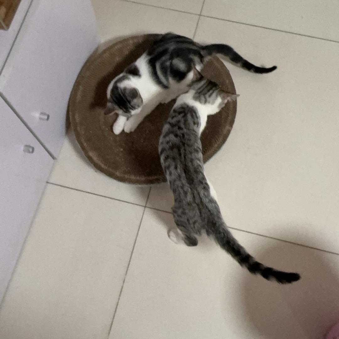 你说吧👦