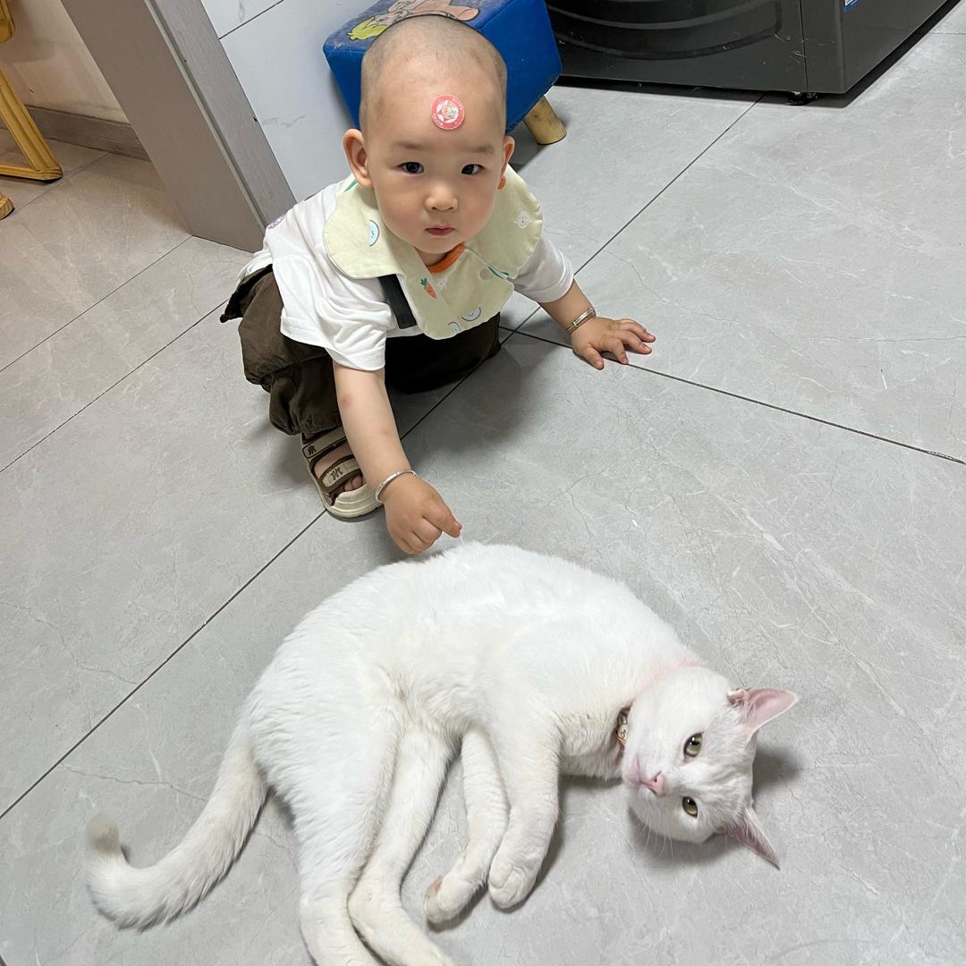 云朵泡泡🫧