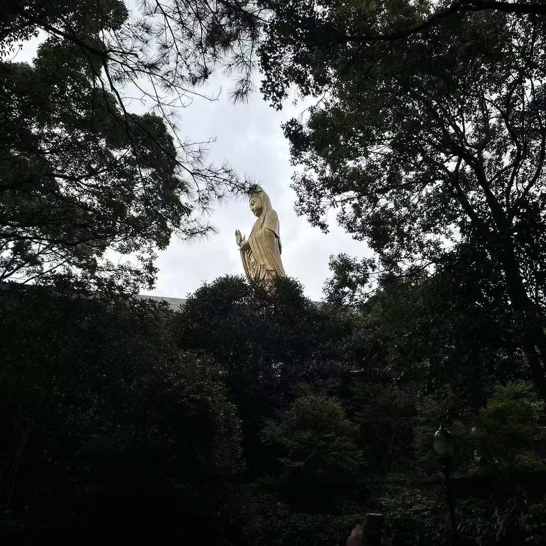 小马嘚尔嘚