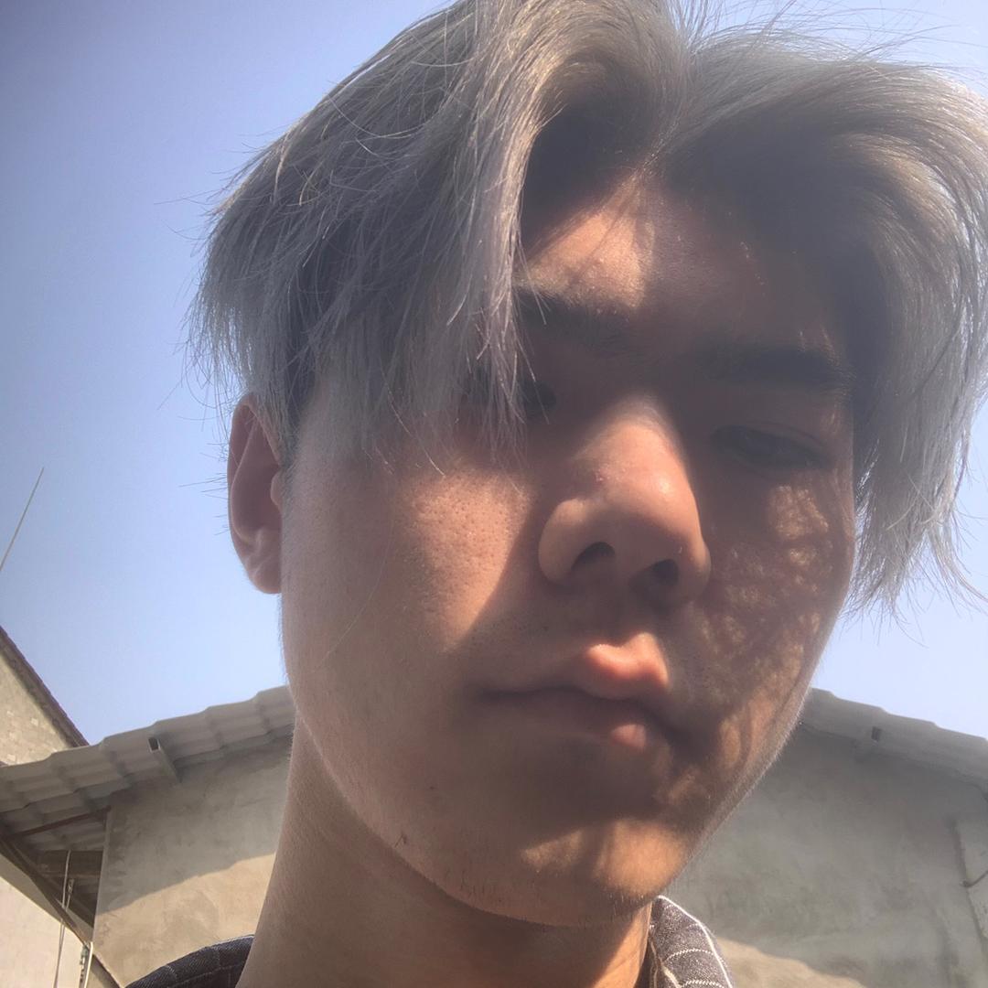 北海以北