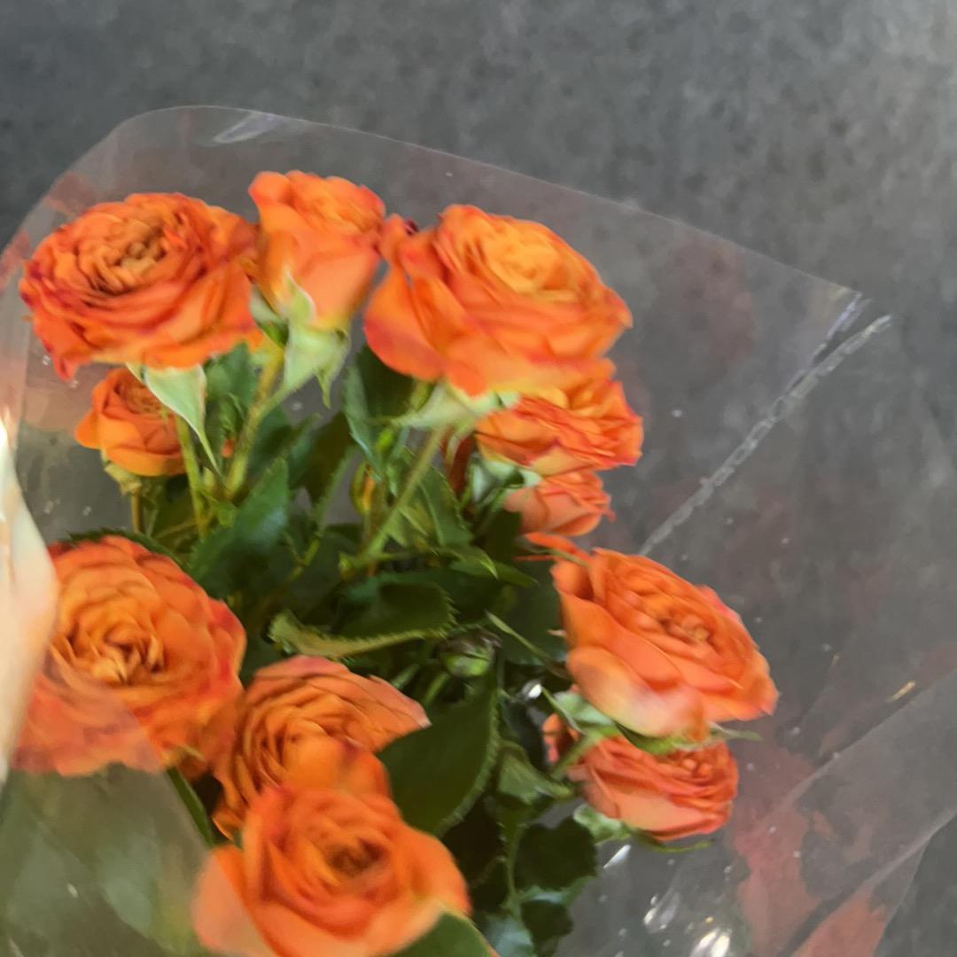 ᥫᩣY🌻（请不要连赞）