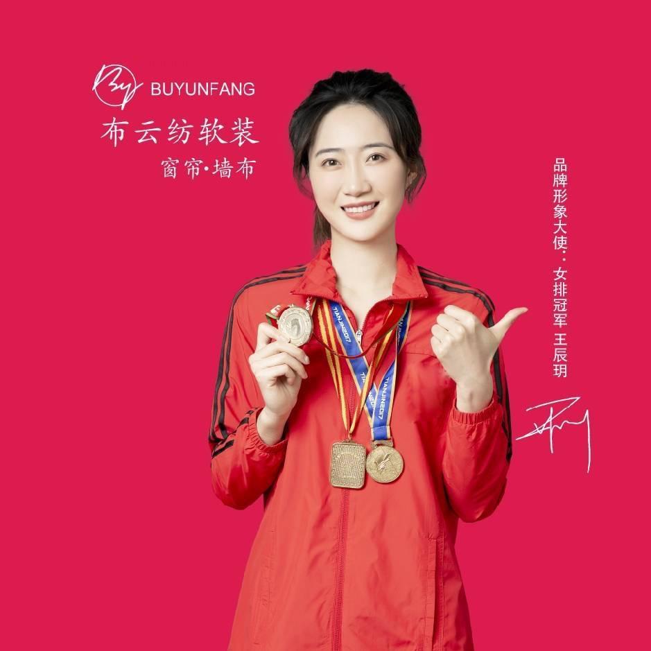 窗帘（电动）、壁布、壁画