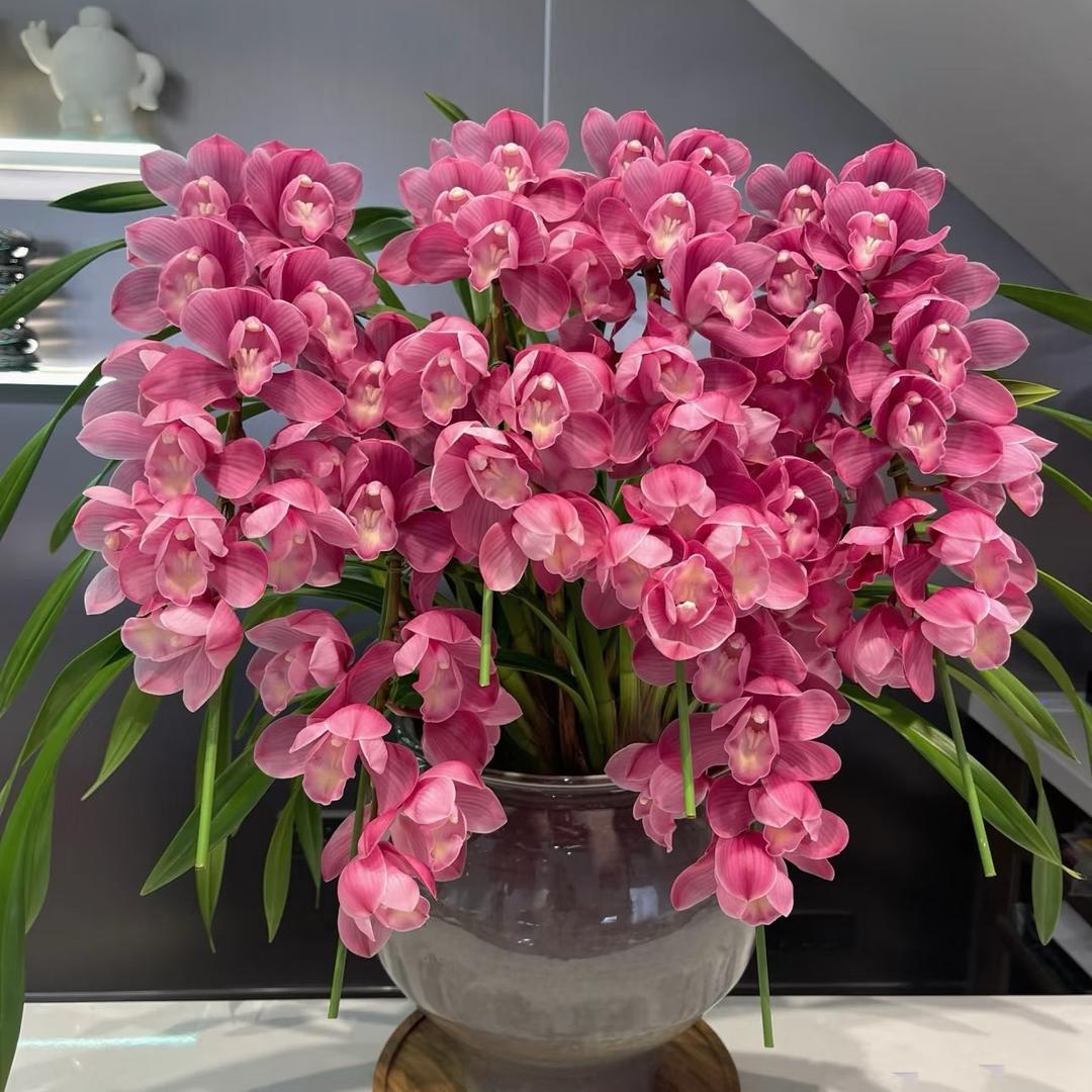 念兰家的新农人